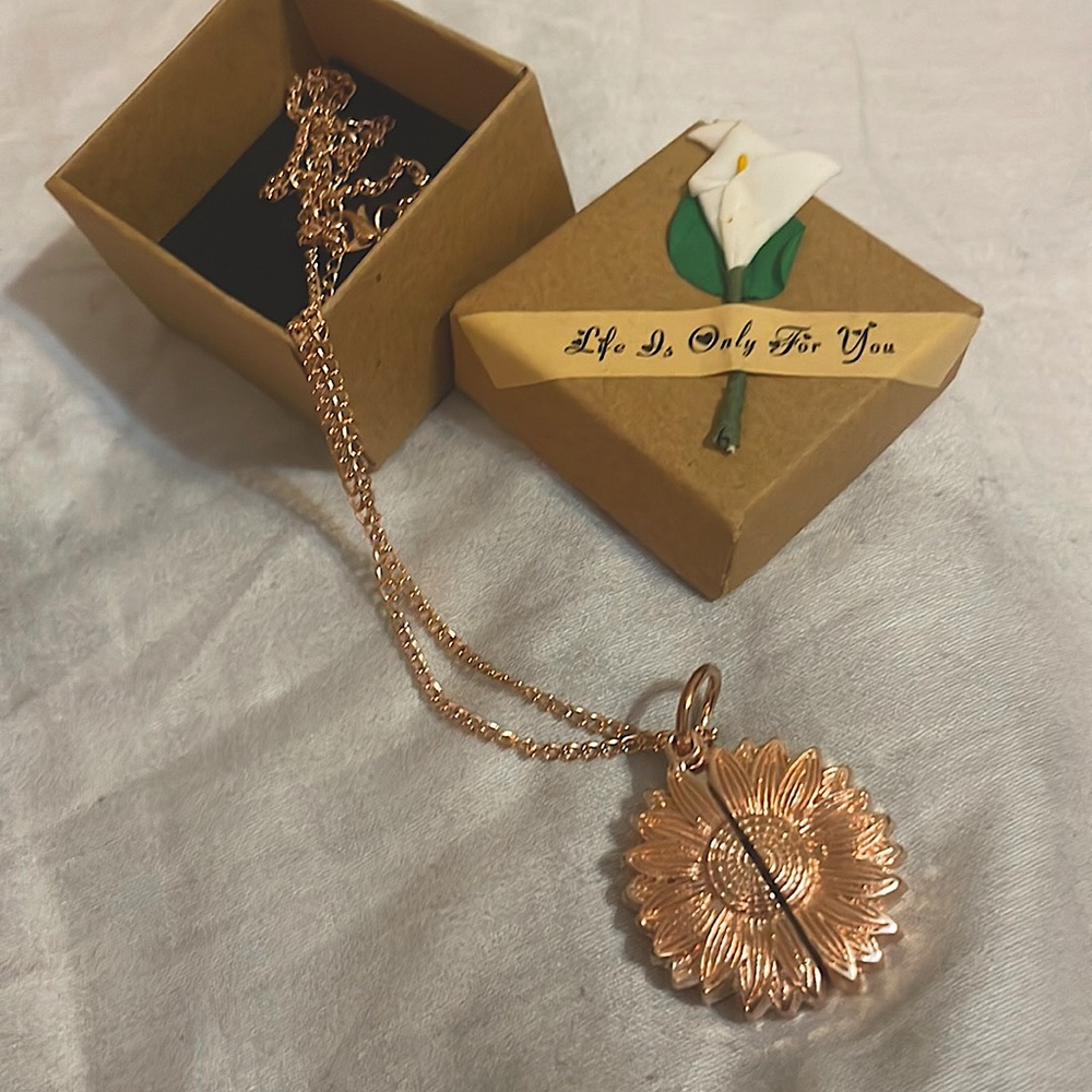 Gold You Are My Sunshine Open locket - Picture 4 of 10